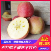 甘肃丑苹果 5斤 我很丑但我很甜