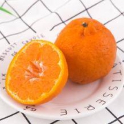 麦柚 衢州椪柑 8斤