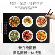 众辰 FNC-250 家用多功能暖菜板 恒温速热