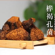 “植物钻石”之称！于建星 俄罗斯进口 白桦茸
