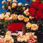 MONNIER Frères美国官网，精选 Burberry、A.P.C.、Marni 等时尚鞋履包包