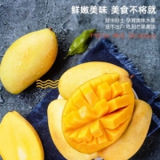 鲜火 越南进口高乐蜜芒果6斤
