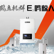 12日0点：能率 16L 燃气热水器 GQ-16E3FEX(JSQ31-E3)