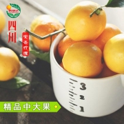 鹏瑞达 安岳一二级黄柠檬4斤 单果150~220g