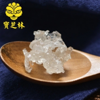 宝芝林 天然野生植物雪燕 35g
