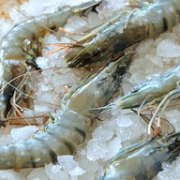 30-40只，壹家壹站 原装进口马来西亚黑虎虾 800g