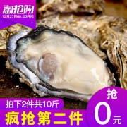金益康 乳山野生带壳鲜活生蚝 新鲜海蛎子10斤（拍2件）