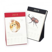 《果壳·物种日历2019》（三色可选，赠猫咪主题冰箱贴）  *2件