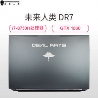 Terrans Force 未来人类 魔鬼鱼DR7-PLUS 17.3英寸游戏本（i7-8750H 512GB GTX1060 RGB键盘） 7999元包邮（10元定金）
