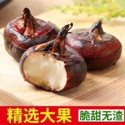 湖北特产，锦萃寨 现挖新鲜马蹄荸荠 5斤