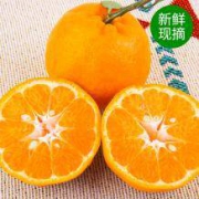 百果韵 四川丑橘 10斤