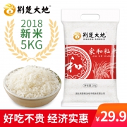 荆楚大地 2018新米 家和籼米5kg