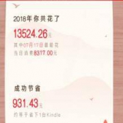 2018年的最后一天：京东商城 年度账单出炉