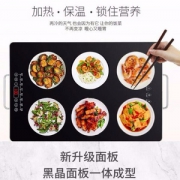 恒温速热，众辰 FNC-250 家用多功能暖菜板