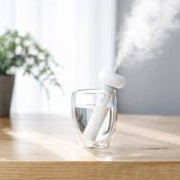 JS 放水里就能用的加湿器