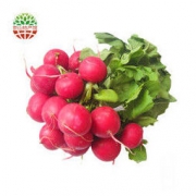 湖北特产 红皮白心萝卜 2.5kg 16.9元包邮（需用券）