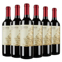 Concha y Toro 干露 费洛雅赤霞珠西拉干红葡萄酒 750  147元包邮