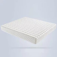 一米色彩 椰棕软硬两用弹簧床垫 180*200*23cm