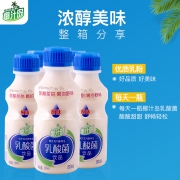 椰汁岛 胃动力乳酸菌饮品 340ml*12瓶