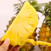 鲜果喜事 泰国进口迷你小菠萝 10斤