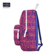 双12狂欢：JanSport 杰斯伯 T08W 0UG 时尚撞色校园男女双肩背包 138元包邮