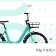 移动端： 青桔单车 7天周卡