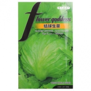 京东PLUS会员：花儿朵朵 结球生菜蔬菜种子  200粒/袋 *3件 12.75元（3件5折，合4.25元/件）