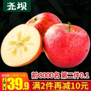 尧坝 陕西红富士苹果 2件共10斤