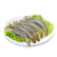 禧美海产 厄瓜多尔白虾1.8kg