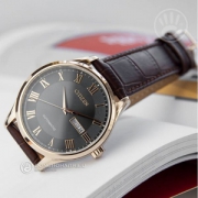 Citizen 西铁城 自动机械男士手表 NH8363-14H