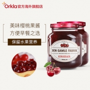 DGF 草莓果肉果酱380g*2罐