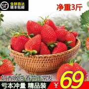 桃源深处 新鲜现摘红颜奶油草莓 3斤礼盒装