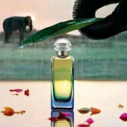 HERMÈS 爱马仕 尼罗河花园女士淡香水 100ml
