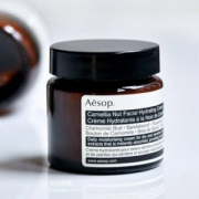 AESOP 伊索 山茶核仁滋润面霜 120ml £35.25（需用码）