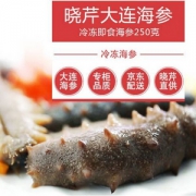 限Plus会员，晓芹 即食海参 250g 5只