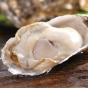 自然密码 鲜活乳山牡蛎（生蚝） 5斤装