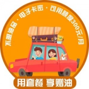 国通石油 分期大国卡 储油价值3600元 全国通用