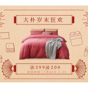 促销活动# 京东 大朴岁末狂欢