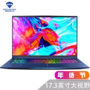 MACHENIKE 机械师 F117-FP6t 17.3英寸笔记本（i7-8750H、GTX1060、8G、256G+1T） 9799元包邮（需用券）