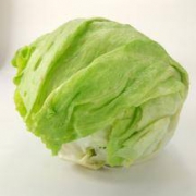 藤特 奶油球生菜 5斤
