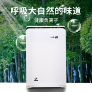 新华 KJFU220 家用负离子空气净化器 带双滤网
