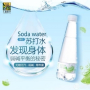 天地精华 青柠檬苏打水饮料 410ml*15瓶