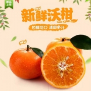 卓上精选 广西沃柑 10斤