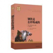 《钢铁是怎样炼成的》正版