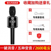 雅兰仕 全民K歌神器 无线麦克风