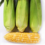云南新鲜水果玉米 带箱10斤 约9-15根