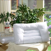 FUANNA 富安娜 枕头 单人草本枕芯 60cm*38cm *2件 116元包邮（需用券，合58元/件）