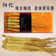 阳亿 长白山人参礼盒装 5-6支 30g