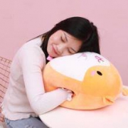 ZLS 暖手公仔 40*35cm