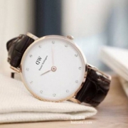 Daniel Wellington 丹尼尔惠灵顿 女士时尚石英表 0901DW